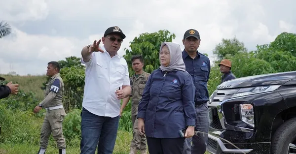 Deputi Bidang Koordinasi Pengelolaan Lingkungan dan Kehutanan pada Kementerian Koordinator Kemaritiman dan Investasi RI, Nani Hendiarti berkunjung ke Kabupaten Pakpak Bharat, Jumat (24/2/2023).