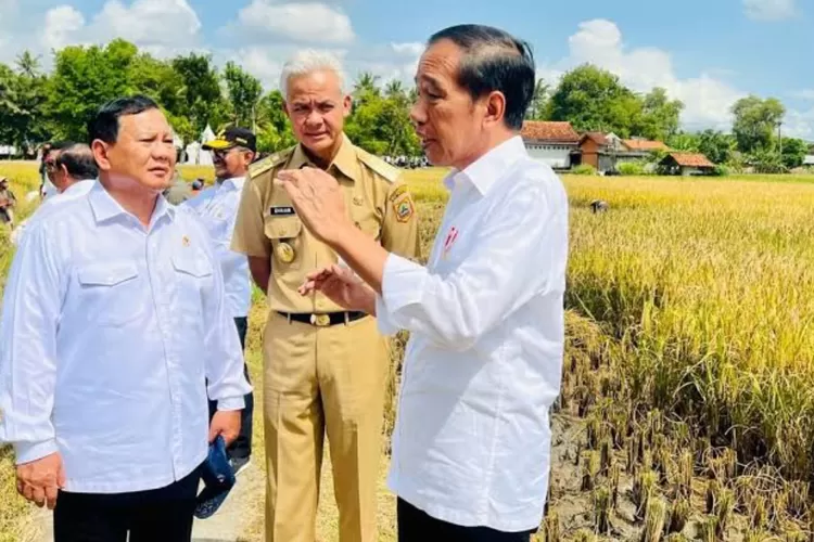 Banyak pengamat menyebut, bahwa pemenang Pilpres 2024 sangat dipengruhi oleh limpahan suara pendukung Jokowi.
