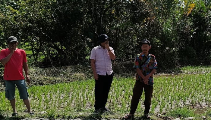 Hujan deras yang terjadi beberapa hari terakhir telah mengakibatkan meluapnya Sungai Sibintoha di Desa Kuta Tinggi, Kecamatan Salak.