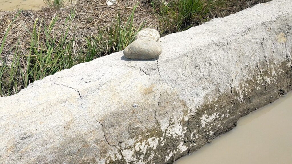 Pembangunan peningkatan jaringan irigasi diperkirakan menghabiskan anggaran Rp2 miliar, dengan panjang 700 meter, berlokasi di Dusun VIII Siriaria Desa Sei Bamban,Kecamatan Sei Bamban, Serdang Bedagai, Sumatera Utara, terus jadi sorotan.