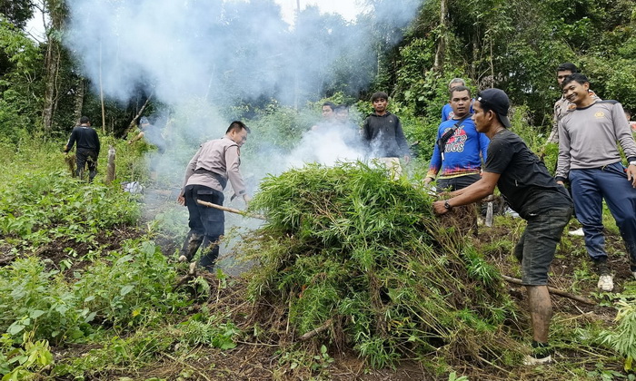 Polda Sumut telah melimpahkan ribuan perkara tindak pidana narkoba ke jaksa penuntut umum (JPU). Hal itu sebagai langkah tegas Polda Sumut memberantas peredaran narkoba di wilayah Sumatera Utara.