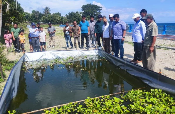 Bupati Samosir Vandiko T Gultom monitoring penyaluran bantuan kolam terpal Tahun Anggaran 2023 dan menyalurkan bantuan bibit ikan kepada Kelompok Pembudidaya Ikan, Minggu (11/2/2024).