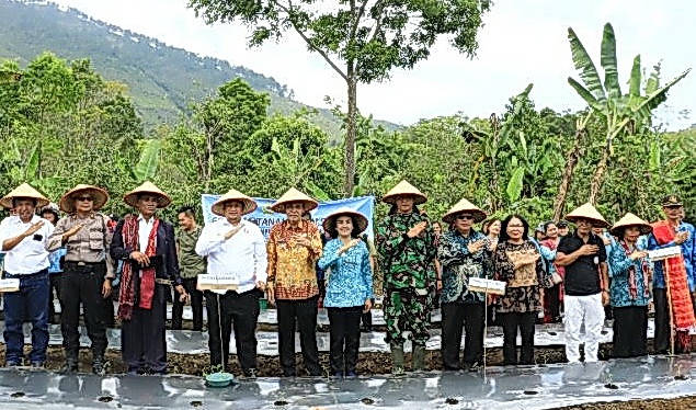 Dalam rangka peringatan HKG-PKK ke-52 tingkat Kabupaten Samosir, Bupati Samosir Vandiko T Gultom dan Wabup Martua Sitanggang serta Ketua TP PKK Kabupaten Samosir Harta M Sitanggang melakukan Gerakan Tanam Cabai Serentak.