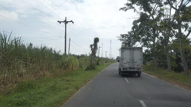 Masyarakat di Desa Pematang Setrak dan Pasar Baru Kecamatan Teluk Mengkudu Serdang Bedagai, merasa resah dan senantiasa dihantui rasa takut melintasi Jalan di Simpang Makmur, Bogak kecil Desa Matapao, karena sudah hampir 6 tahun jalan itu tidak pernah dipasangi lampu.