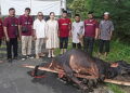 Gerindra Sumut melaksanakan penyembelihan hewan qurban di kantor DPD Gerindra Sumut Jalan Sudirman No 36 Medan, Selasa (18/6/2024).