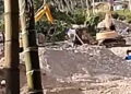 Tak takut memang atau oknum aparatnya yang ketakutan, sehingga aktifitas Pertambangan Emas Tanpa Izin (PETI) di Kecamatan Kotanopan bisa terus beroperasi tanpa adanya tindakan tegas.