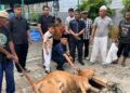 Peringati Iduladha 1446 H, Imigrasi Belawan Laksanakan Pemotongan Hewan Qurban