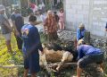 Idul Adha 2026: IKHROM Distribusikan 700 Paket Daging Qurban, Mengalami Peningkatan dari Tahun Lalu