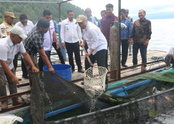 Pemkab Tapanuli Utara Apresiasi Keberhasilan Ketahanan Pangan Desa Hutalontung