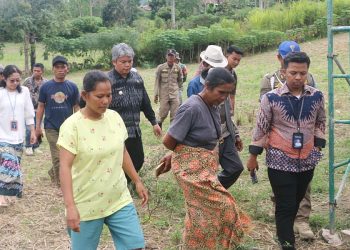 Pemkab Taput Gandeng TJSL PT Taspen, Berikan 1.500 Bibit Durian Unggul kepada Koptan Kecamatan Parmonangan