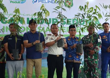 Hari Lingkungan Hidup Sedunia, Pelindo Regional I dan Imigrasi Belawan Tanam 2.500 Pohon Tabebuya