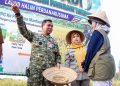 PANEN PADI LANUD HALIM PERDANAKUSUMA PERKUAT KETAHANAN PANGAN NASIONAL