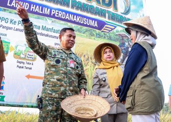 PANEN PADI LANUD HALIM PERDANAKUSUMA PERKUAT KETAHANAN PANGAN NASIONAL