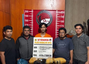 Kejar-kejaran di Madina, Polisi Amankan 19,2 Kg Ganja dari Mobil Avanza