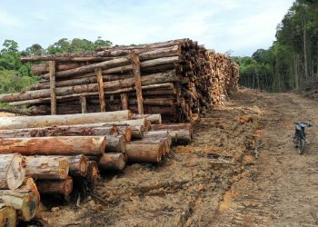 Korupsi PT TPL, HKBP Desak Pengembalian Kerugian Rp2 Triliun untuk Pemulihan Ekologi Tapanuli