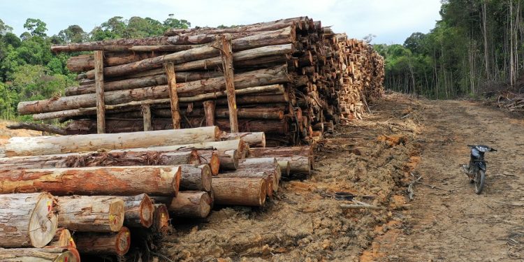 Korupsi PT TPL, HKBP Desak Pengembalian Kerugian Rp2 Triliun untuk Pemulihan Ekologi Tapanuli