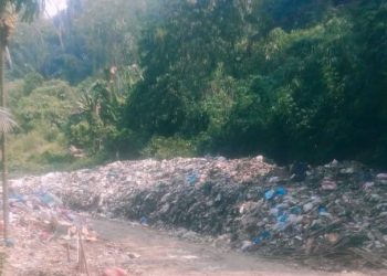 Tumpukan Sampah Di Jalan Menuju TPA Batang Gadis, Bukti Pemda Madina Tidak Becus Tangani Permasalahan Sampah