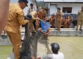 Tinjau BBI Purbatua, Pemkab Taput Dorong Inovasi Budidaya Ikan Air Tawar