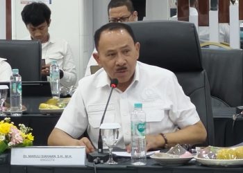 Maruli Siahaan Dorong ‘Satu Data Kurator Nasional’, Pengawasan Profesi tak Boleh Terfragmentasi