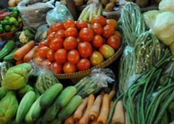 Harga dan Pasokan Sayur Buah Terancam Erupsi Gunung Sinabung