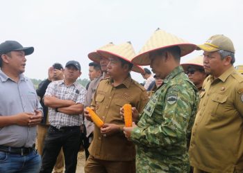 Dorong Pertanian Modern Berkelanjutan, Pemkab Taput Tanam Jagung di Kawasan Pertanian Terpadu Sijaba
