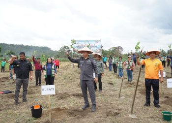 Dorong Kesejahteraan Petani, Pemkab Taput Gerakkan Penanaman 2,2 Juta Batang Kopi Arabika
