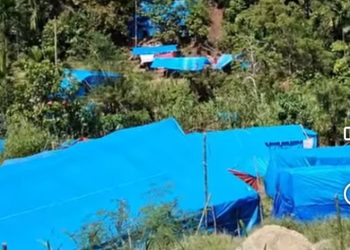 Pekerja PETI Meninggal Ditimpa Pohon Aren, Polisi Lakukan Penyelidikan