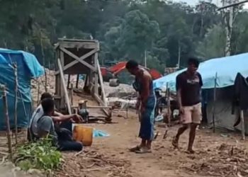 Hutan Konservasi TNBG Mandailing Natal Dijarah Penambang Ilegal Dari Pasaman Barat