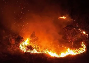 BMKG Petakan Risiko Karhutla di Sumatera, Jawa, dan Kalimantan