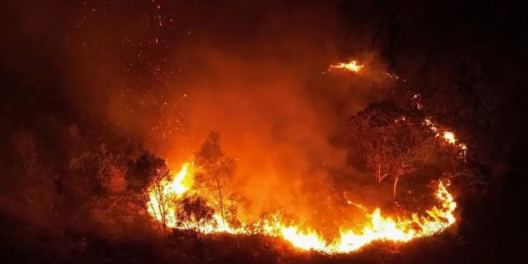 BMKG Petakan Risiko Karhutla di Sumatera, Jawa, dan Kalimantan